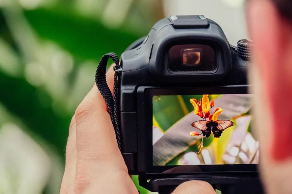 Ile kosztuje aparat do zdjęć? Sprawdź ceny i porady zakupowe