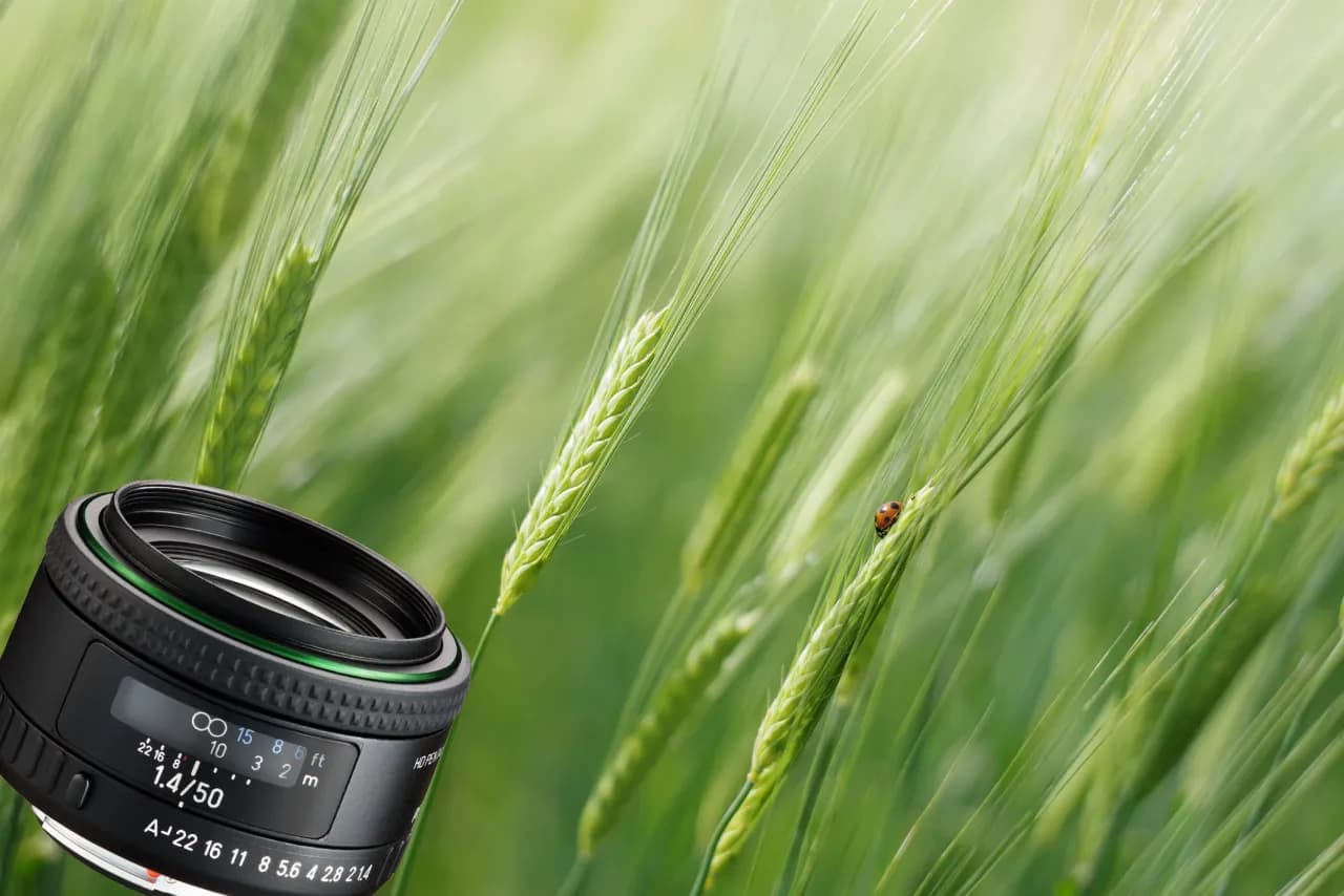 Najlepsze obiektywy do Pentaxa K-50, które poprawią Twoje zdjęcia