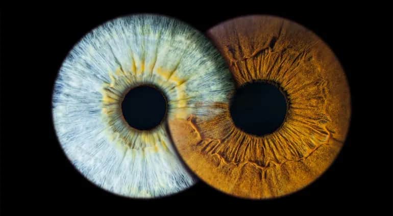 Gdzie zrobić zdjęcie tęczówki w Krakowie? Odkryj najlepsze miejsca