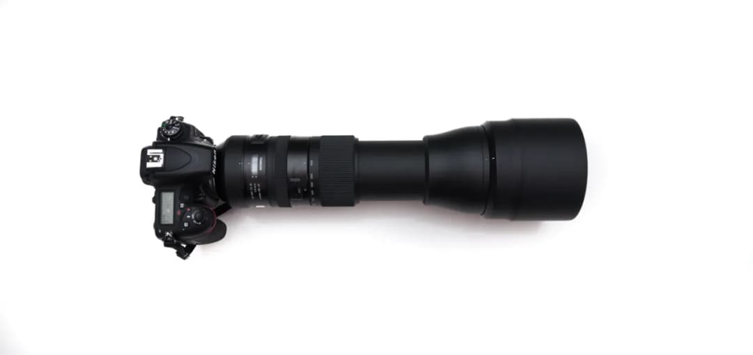 Jaki obiektyw do czego wybrać? Poradnik dla początkujących i zaawansowanych fotografów