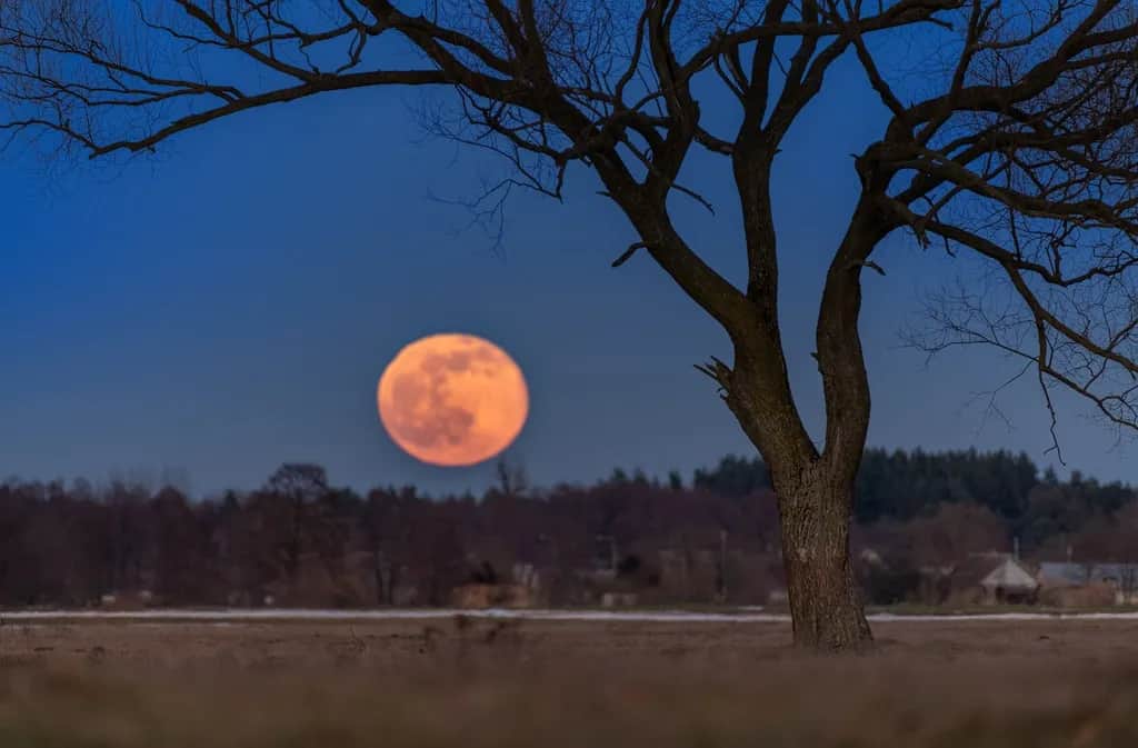 Jak zrobić zdjęcie Księżyca iPhonem, aby uzyskać niesamowite efekty