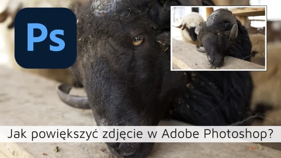 Jak powiększyć obraz w Photoshopie bez utraty jakości i szczegółów