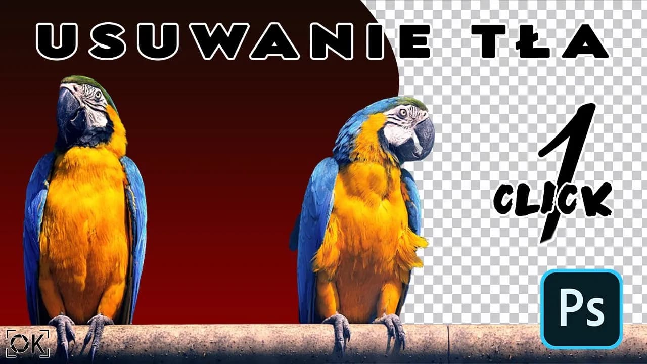 Jak usunąć tło w Photoshopie - skuteczne metody krok po kroku